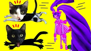 Gato escapa de la casa de muñecas jugando a Roblox / Videos de gatos graciosos Luna y Estrella