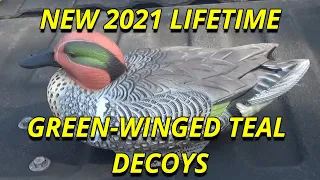 LifeTime Decoys-Green-Winged Teal-NEW for 2021