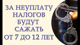 За неуплату налогов будут сажать от 7 до 12 лет