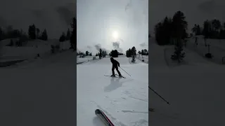 Виды лыжных ходов!