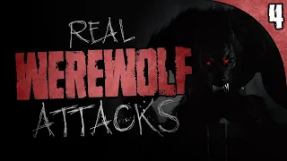 4 REAL Werewolf ATTACKS