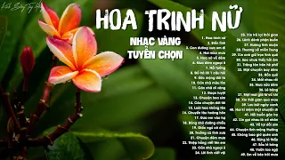 50 Bài Nhạc Vàng Tuyển Chọn - Hoa Trinh Nữ, Biển Tình - Nghe 10000 Lần Không THấy Chán