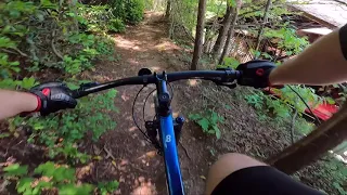 Blue Ridge Mountain Downhill - Trek Marlin 8