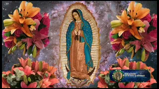 CANTO 595: BAJO TU MANTO DE ESTRELLAS, MARIA DE GUADALUPE