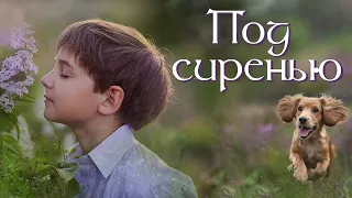 💗ПОД СИРЕНЬЮ💗  Христианские рассказы. Истории из жизни. Для широкого круга.