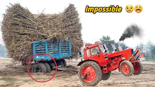 Sugarcane Trailer Badly Stuck in Mud | Belarus Tractor Fail to Pull out