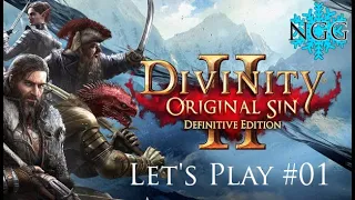 Divinity Original Sin 2 Playthrough (Co Op) Pt 1