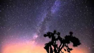 Tree Under The Milky Way - Time Lapse