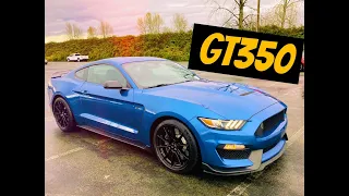 2019 Ford Shelby GT350 Test Drive POV