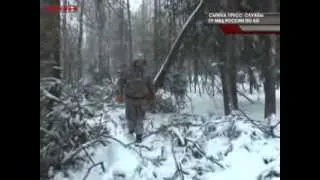 "Черный" лесоруб задержан в Прокопьевском районе