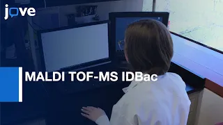 MALDI TOF-MS IDBac to Analyze Microbial Protein and Metabolite Data | Protocol Preview