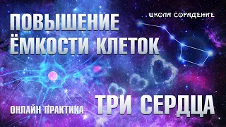 Повышение ёмкости клеток и Три сердца #Ёмкостьклеток #Трисердца #СтасАкинин #школаСорадение