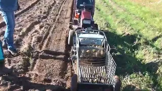 Копка картошки самодельным Микрокомбайном ,,,СВАТ""!2020г digging potatoes  Microcombine ,,, SVAT ""