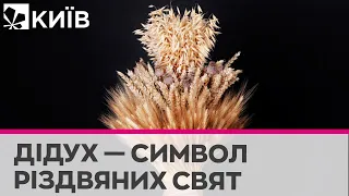 Різдвяний Дідух: що він символізує та які вірування з ним пов'язані?