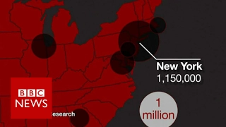 Where do America's undocumented immigrants live? BBC News