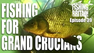 Grand Crucian Carp - Fishing Britain, episode 39