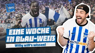 Djangas Comeback 💙 | Eine Woche in Blau-Weiß | Werder Bremen - Hertha BSC