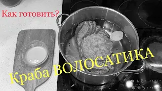 Как готовить, варить краба ВОЛОСАТИКА 🦀