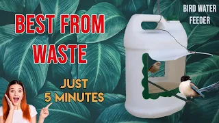 How to Make A Bird Water Feeder | DIY Homemade Bird Feeder | Waste Bottle Craft |Best From Waste