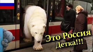 Это Россия детка!!! 2017!!! Русские приколы