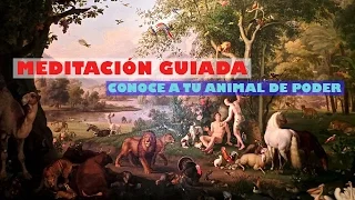 Meditación guiada: conoce a tu animal de poder (relajación y visualización) - Julia Pons Montoro