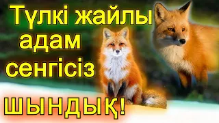 ТҮЛКІ туралы адам сенгісіз мәліметтер!