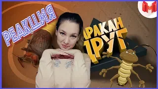 Реакция на "Друг таракан [Игродно]" от Mr. Marmok! Хах... умора)))