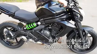 Глушитель на мотоцикл Kawasaki ER-6n