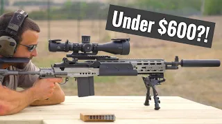 The Best Long Range Precision Scope For Under $1,000