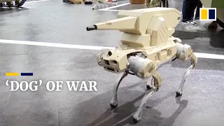 This Chinese-made robot dog is a combat specialist