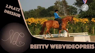 Mein Video zum Webvideopreis - 2. Platz Dressur  REITTV