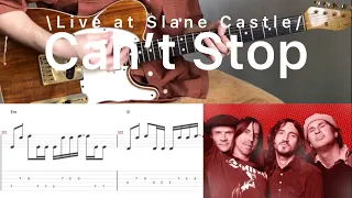 Red Hot Chili Peppers - Can't Stop - Live at Slane Castle (guitar cover with tabs & chords)