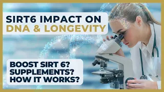 Longevity Unleashed: SIRT6's Impact on Aging & DNA Repair | Beyond Sapiens #longevity #sirtuins