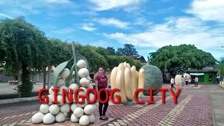 GINGOOG CITY (city of Good luck)