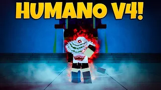 Minha Jornada em Busca da Raça Humano V4 em Server Público no Blox Fruits