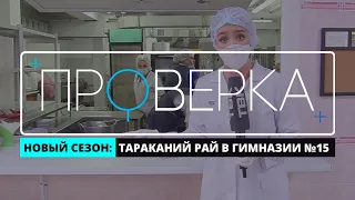 «Проверка» ТВК: красноярская гимназия № 15