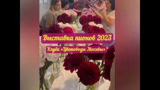 ВЫСТАВКА ПИОНОВ 2023. Клуб «Цветоводы Москвы», Аптекарский огород. #пионы #paeonia