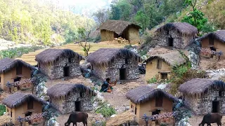 Himalayan Village Life | Nepal |  Shepherd Life in Winter | Shepherd Food | Real Nepali Life |