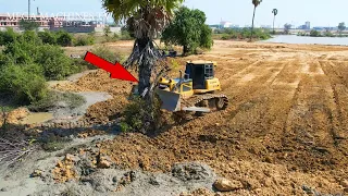 Nice Project! Powerful Bulldozer Shantui Dh17c2 Working, Huge dump truck unloading dirt