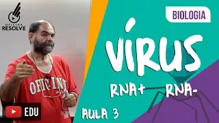 Vírus de Cadeia positiva e negativa, RNA+ e RNA-