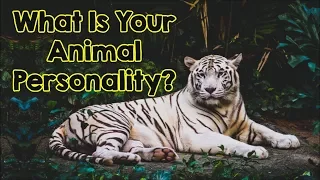 The Animal You Pick Will Reveal Your True Personality
