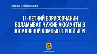 11-летний борисовчанин взламывал чужие аккаунты в популярной компьютерной игре