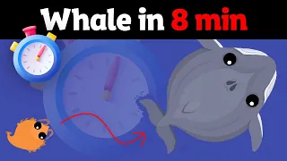 roams.io || How to get Whale in 8 min