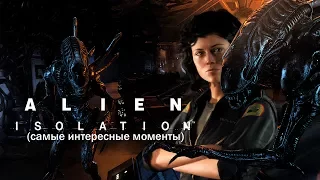 Mad играет в Alien: Isolation (самые интересные моменты)