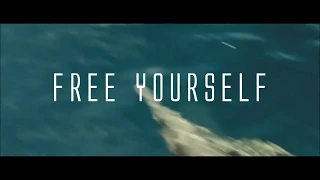 The Chemical Brothers - "Free Yourself" (Nature chance vdeo)