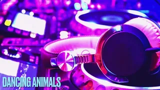 (Dancing animals) electric dance music