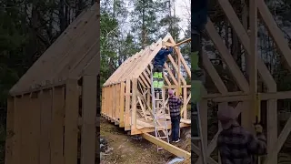 Off grid island cabin build_part2#shorts #timelapse