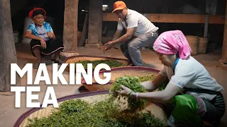 China's OLDEST Tea Farm - Traditional Chinese Tea Production (Best Puer Tea) | EP29, S2