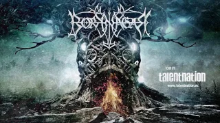 BORKNAGAR "Winter thrice Latin America Tour 2017"