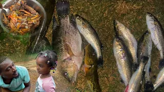 Hunting food in the Dark night tilapia mullet Mudfish great catch N cook